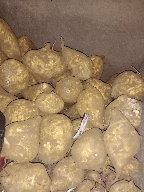 ubi Majalengka