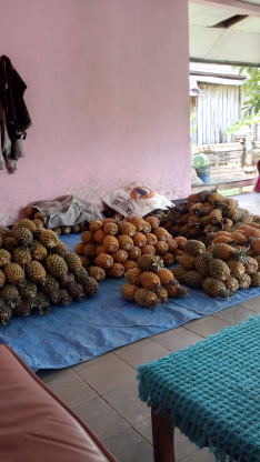 nanas madu blitar