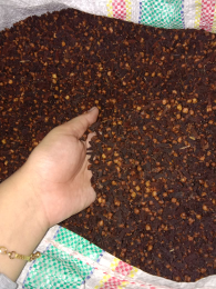 Cengkeh Kering Maluku