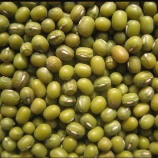 Kacang Hijau gelap