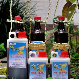 Madu Trigona 100% Asli