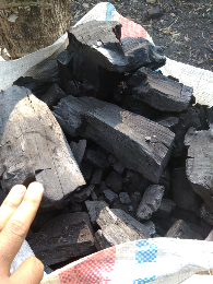arang kayu sono