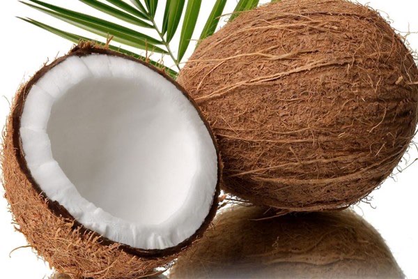 Jual Kelapa Santan Murah Asli Pacitan