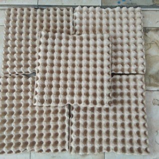 Eggtray Telur Puyuh, Bebek, Ayam horn, nutrisi peternakan dan perikanan