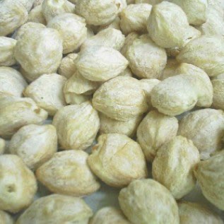 JUAL & BELI KEMIRI KUPAS & GLONDONG