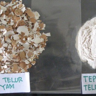Tepung Cangkang Kulit Telur Murni