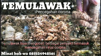 Temulawak