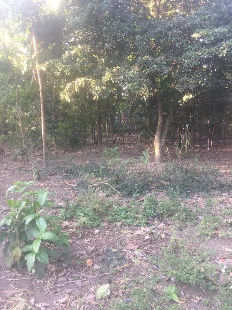 TANAH DIJUAL MURAH