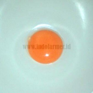 Telur Ayam 