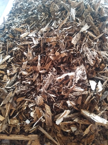 kayu gaharu