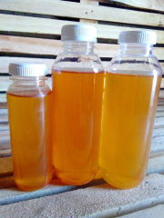 jual madu murni