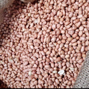 kacang tanah super