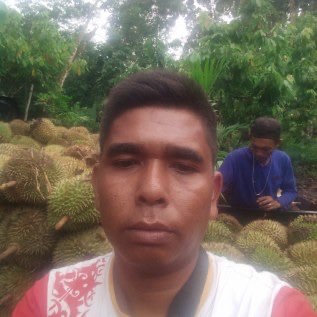 Jual buah durian. Menyediakan segala jenis durian.  Buat durian kupas. Daging durian. Kasam durian. 