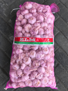 Jual bawang putih import (sico & kating)