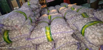 bawang putih cuting