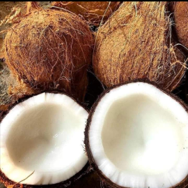 Kelapa
