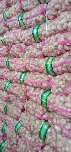 Bawang putih honand