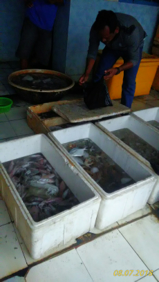 hasil laut