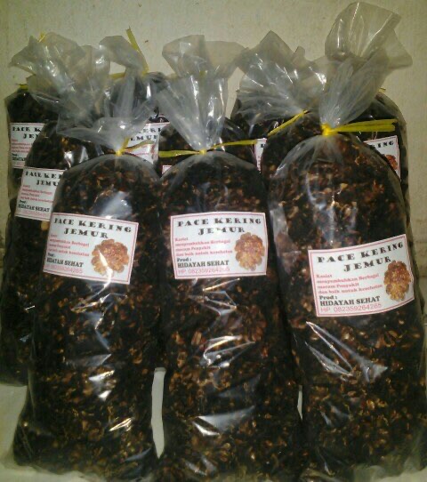 MENGKUDU KERING JEMUR (PACE)
