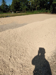 Onggok kering / ampas singkong