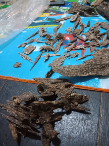Gaharu Angkaras super Kalimantan