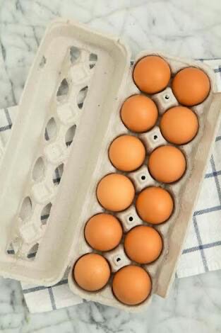 Telur Omega 3