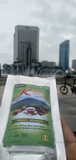 teh kulit kayu manis (cinnamon tea)