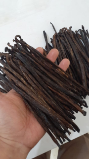 Vanilli Extract