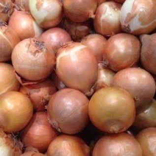 Sedia Bawang Bombay