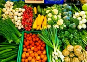 Suplier Sayuran dan Buah