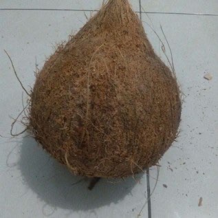 Kelapa Santan Type AB 