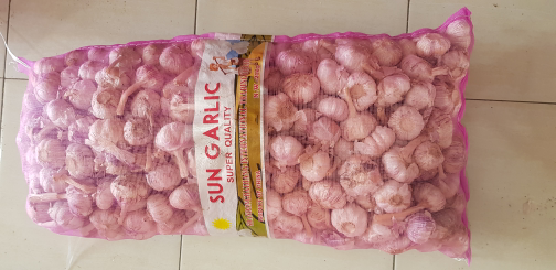 Bawang Putih SICO