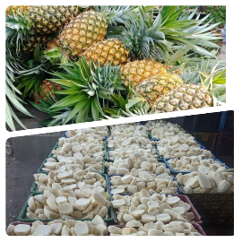 SUPPLIER NANAS MADU DAN KUPAS SUBANG