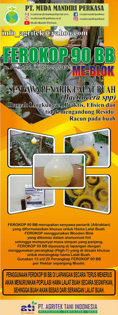 FEROKOP 90 BB / ANTILAT ( ME BLOK)_Atraktan lalat buat