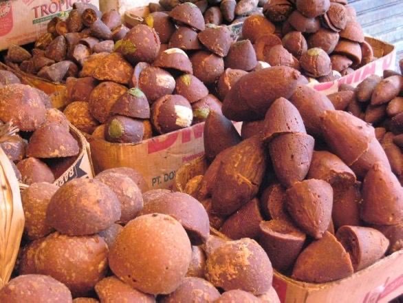 Gula Merah Tebu & Kelapa dgn harga Bersaing dan kulitas terbaik..