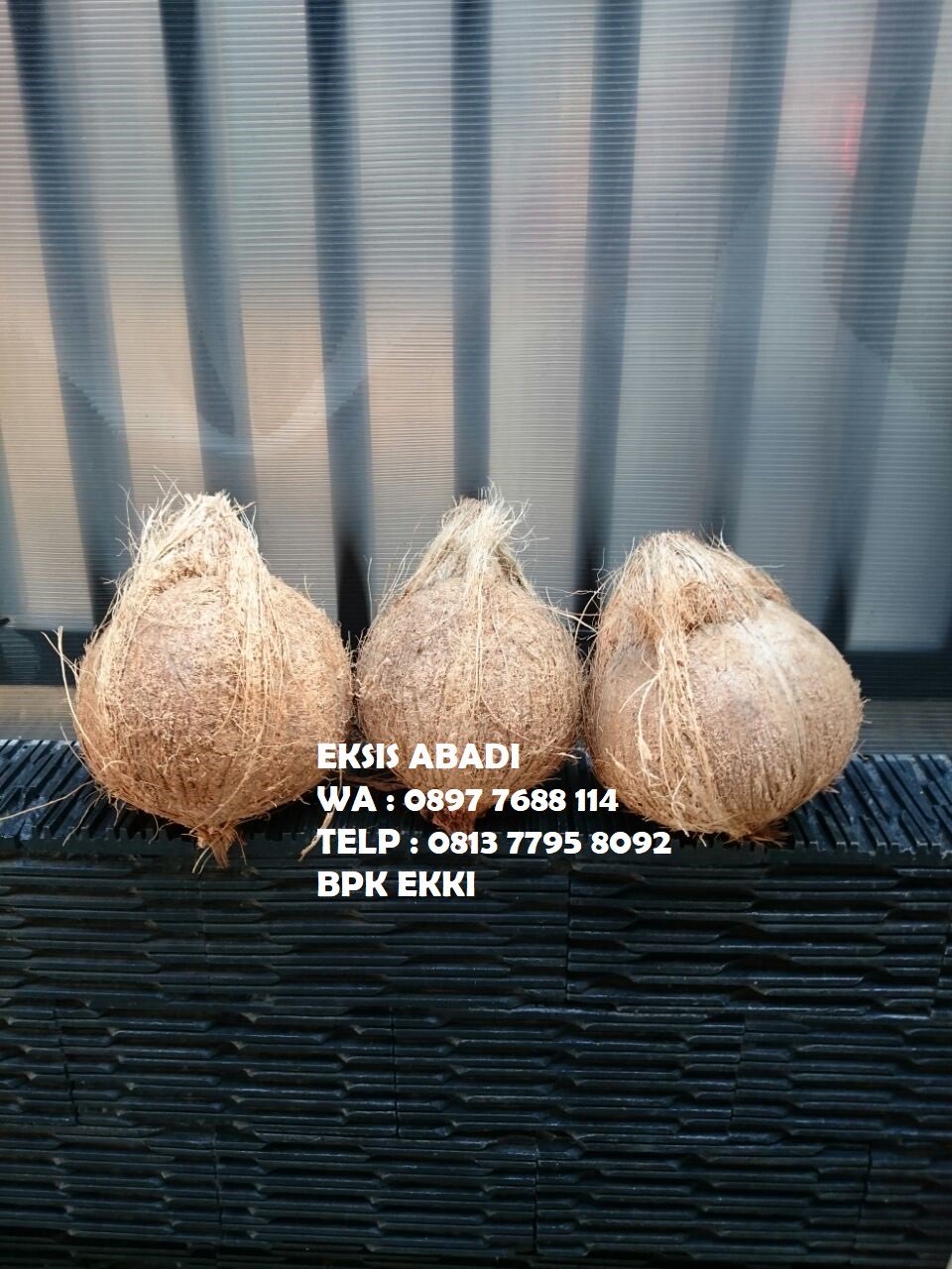 Jual Kelapa Tua ABC