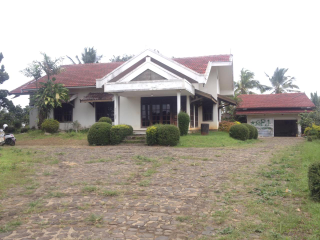 tanah perkebunan dan villa