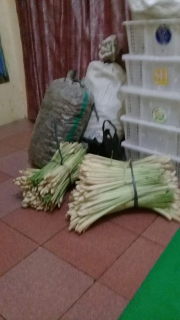 yang minat Sereh batang super