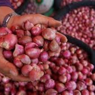 Bawang Merah Probolinggo Siap kirim ke seluruh Indonesia