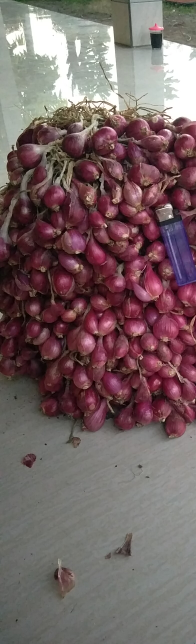 rempah