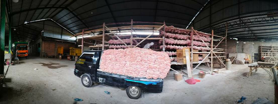Bibit Bawang Merah Tajuk (Thailand Nganjuk) / Siap tanam