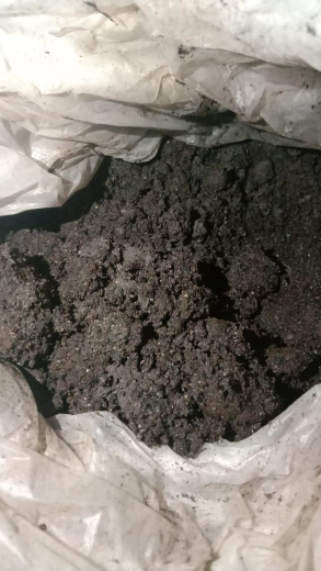 Pupuk Organik dari Kotoran Sapi