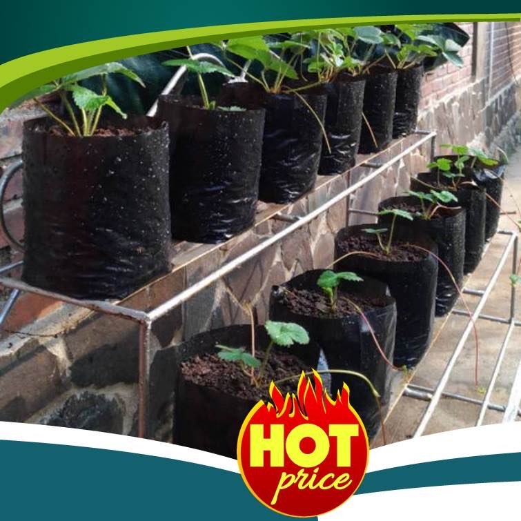 Polybag Hitam Termurah 10-60cm