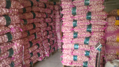 bawang putih