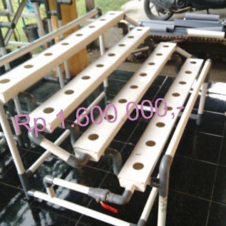 Mari Berkebun dng Hidroponik