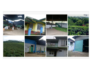 JUAL MURAH KEBUN TEH & PABRIKNYA