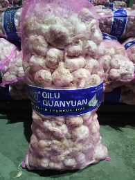 Bawang Putih
