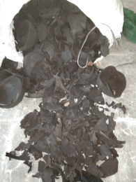 jual arang batok kelapa / charcoal coconut shell