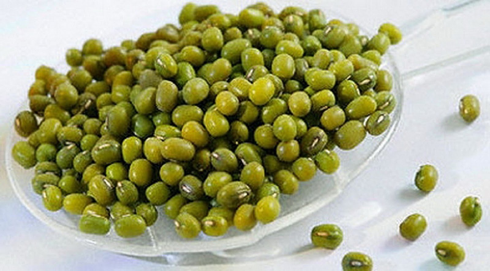 PALING LARIS!!!, WA -5625, Kacang Hijau Unggul