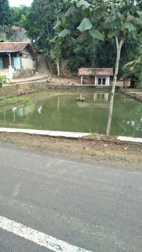 tanah kolam